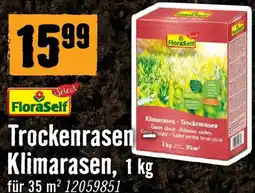 Hornbach Trockenrasen klimarasen Angebot