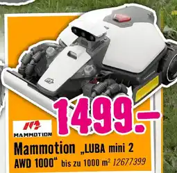 Hornbach Mammotion mammotion luba mini 2 awd 1000 Angebot