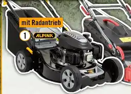 Hornbach Alpink al5.46 sa Angebot