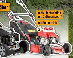 Hornbach Alpink easy5.16 sp-d Angebot