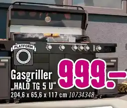 Hornbach Gasgriller halo tg 5 u Angebot