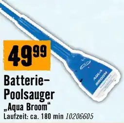 Hornbach Batterie poolsauger aqua broom Angebot
