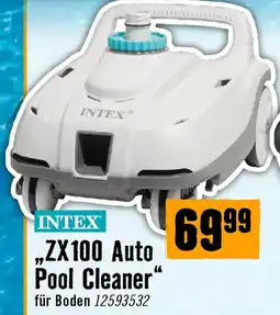 Hornbach Intex zx100 auto pool cleaner Angebot