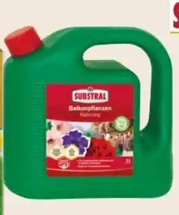 Interspar Substral Balkonpflanzen Nahrung Angebot