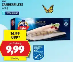 Hofer Iglo zanderfilets Angebot