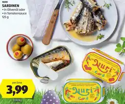 Hofer Nuri sardinen Angebot