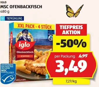 Hofer Iglo msc ofenbackfisch Angebot