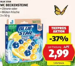 Hofer Blue Star WC-Beckensteine Angebot