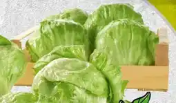 Spar Spar Eisbergsalat Angebot