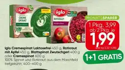 Spar Iglo Cremespinat Angebot