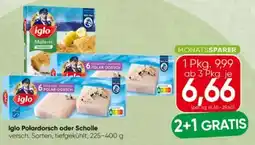Spar Iglo Polardorsch Angebot