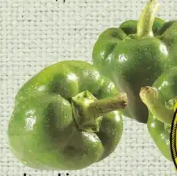 Spar Spar Paprika Angebot