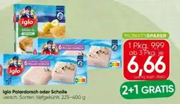 Spar Iglo Polardorsch Angebot