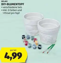 Hofer Belavi diy-blumentopf Angebot
