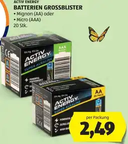 Hofer Activ energy batterien-grossblister Angebot