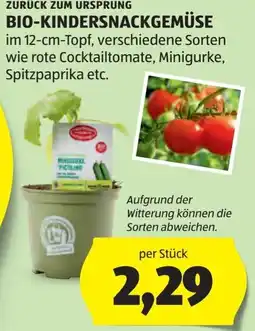 Hofer Zurück zum ursprung bio-kindersnackgemüse Angebot