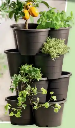 Hofer Belavi pflanzturm mit 4 etagen Angebot