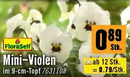 Hornbach Floraself mini-violen Angebot