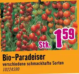Hornbach Bio paradeiser Angebot
