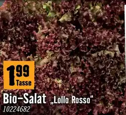 Hornbach Bio salat Angebot