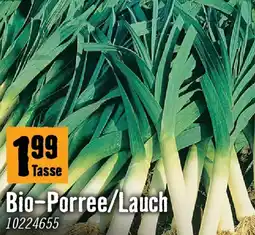 Hornbach Bio porree/lauch Angebot