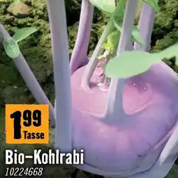 Hornbach Bio kohlrabi Angebot