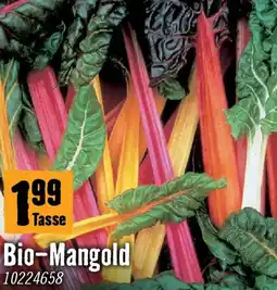 Hornbach Biomangold Angebot