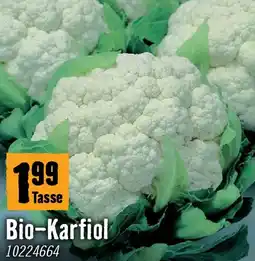 Hornbach Biokarfiol Angebot