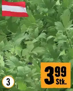 Hornbach Bioliebstöckel Angebot