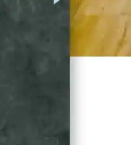 Hellweg Specht Vinylboden SPC Classic Angebot