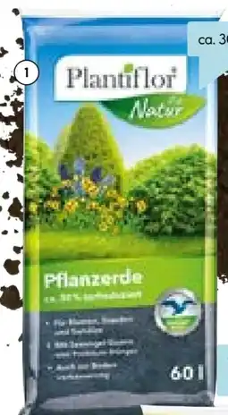 Hellweg Plantiflor Pflanzerde Angebot