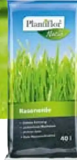 Hellweg Plantiflor Rasenerde Angebot