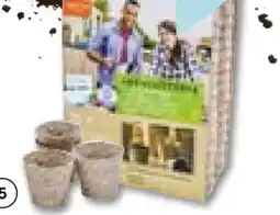 Hellweg Siena Garden Anzuchttopf Angebot