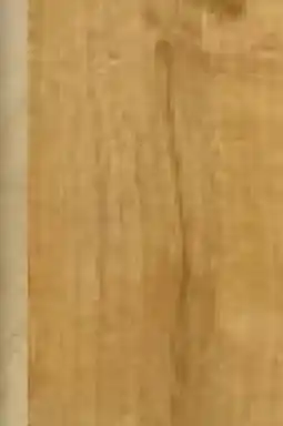 Hellweg Specht Vinylboden Landhaus-Langdiele Deluxe Aqua XXL Angebot