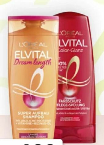 Bipa Elvital Shampoo Angebot
