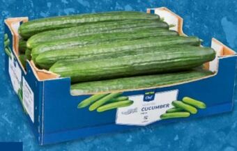 Metro Gurken Angebot