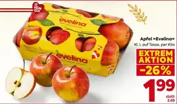 Billa Apfel evelina Angebot