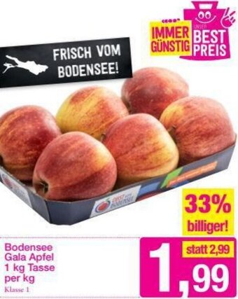 Sutterlüty Bodensee Gala Apfel 1kg Angebot