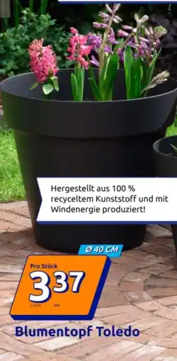 Action Blumentopf Toledo Angebot