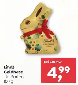 ADEG Lindt goldhase Angebot