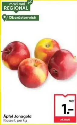 Maximarkt Äpfel jonagold Angebot