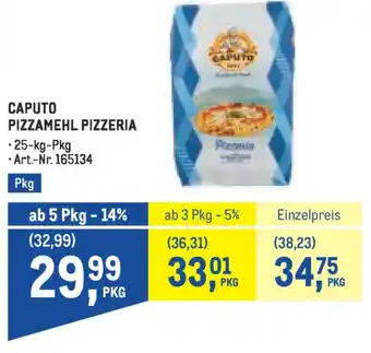 Metro Caputo pizzamehl pizzeria Angebot