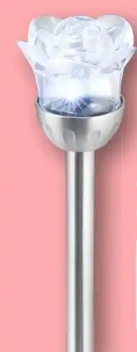 KiK Solar-Stab Rose Angebot