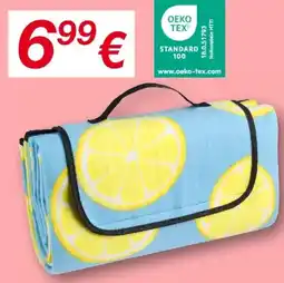 KiK Picknickdecke mit Griff Angebot