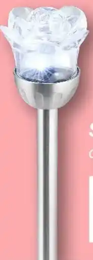 KiK Solarleuchte Rose Angebot