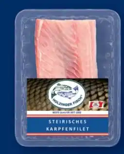 Lidl Holzinger Fisch Karpfenfilet Angebot