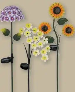 Lidl Livarno Home Solar Gartenleuchte Angebot