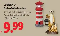 Lidl LIVARNO Deko-Solarleuchte Angebot
