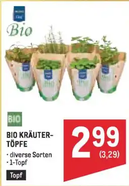 Metro Bio kräuter- töpfe Angebot