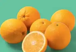 PENNY Marktliebe Orangen Angebot